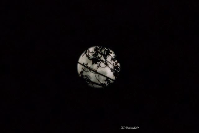 2221EF16-07E4-4189-9828-5F1F9C6FBB8F