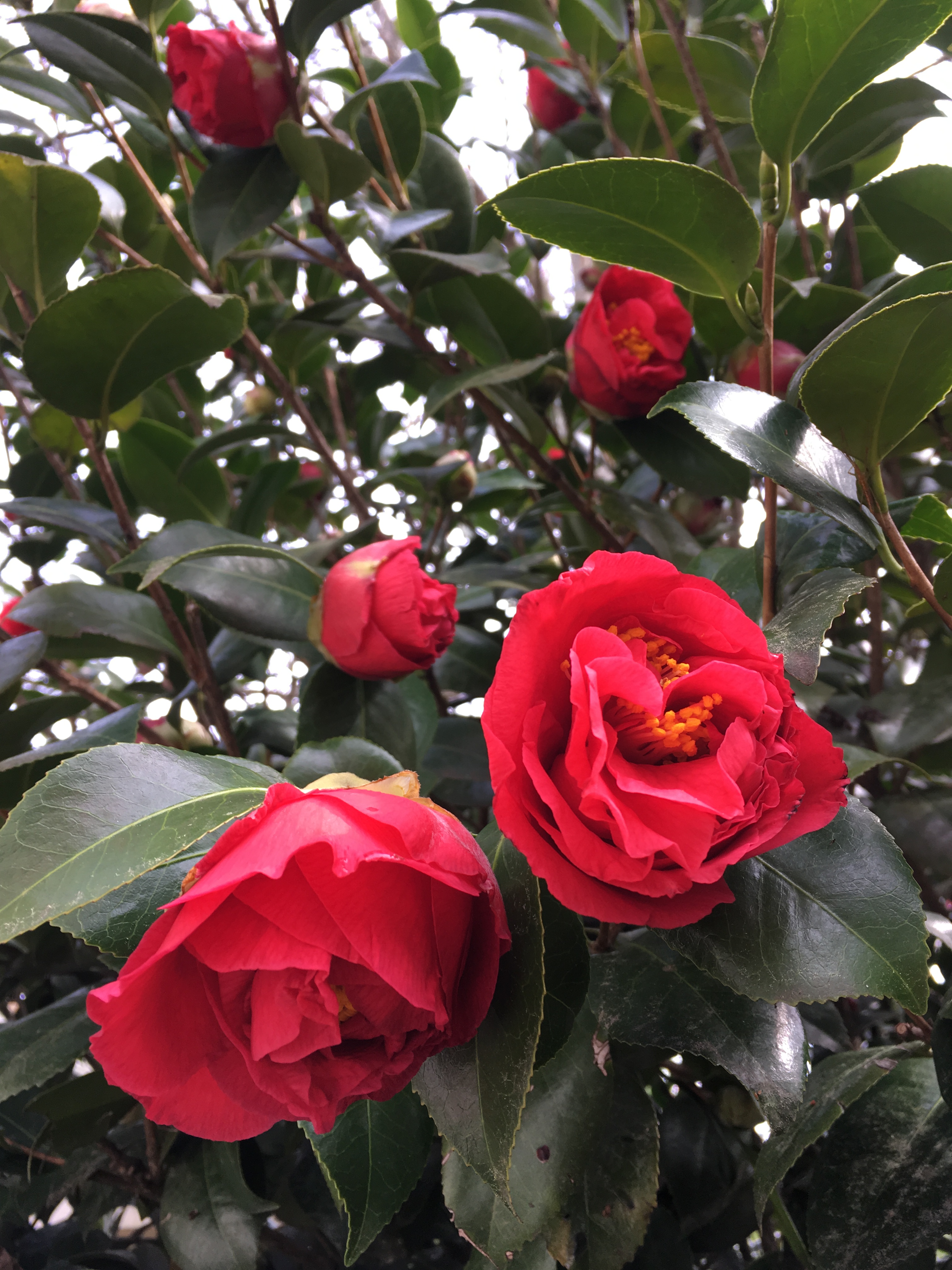 44377C9A-FB17-4569-AC55-84B2E152EE83