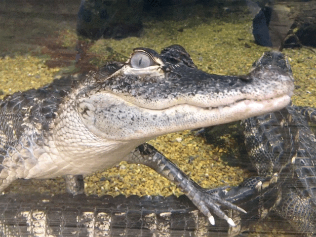 They All Axed For&nbsp;You/#SoCS