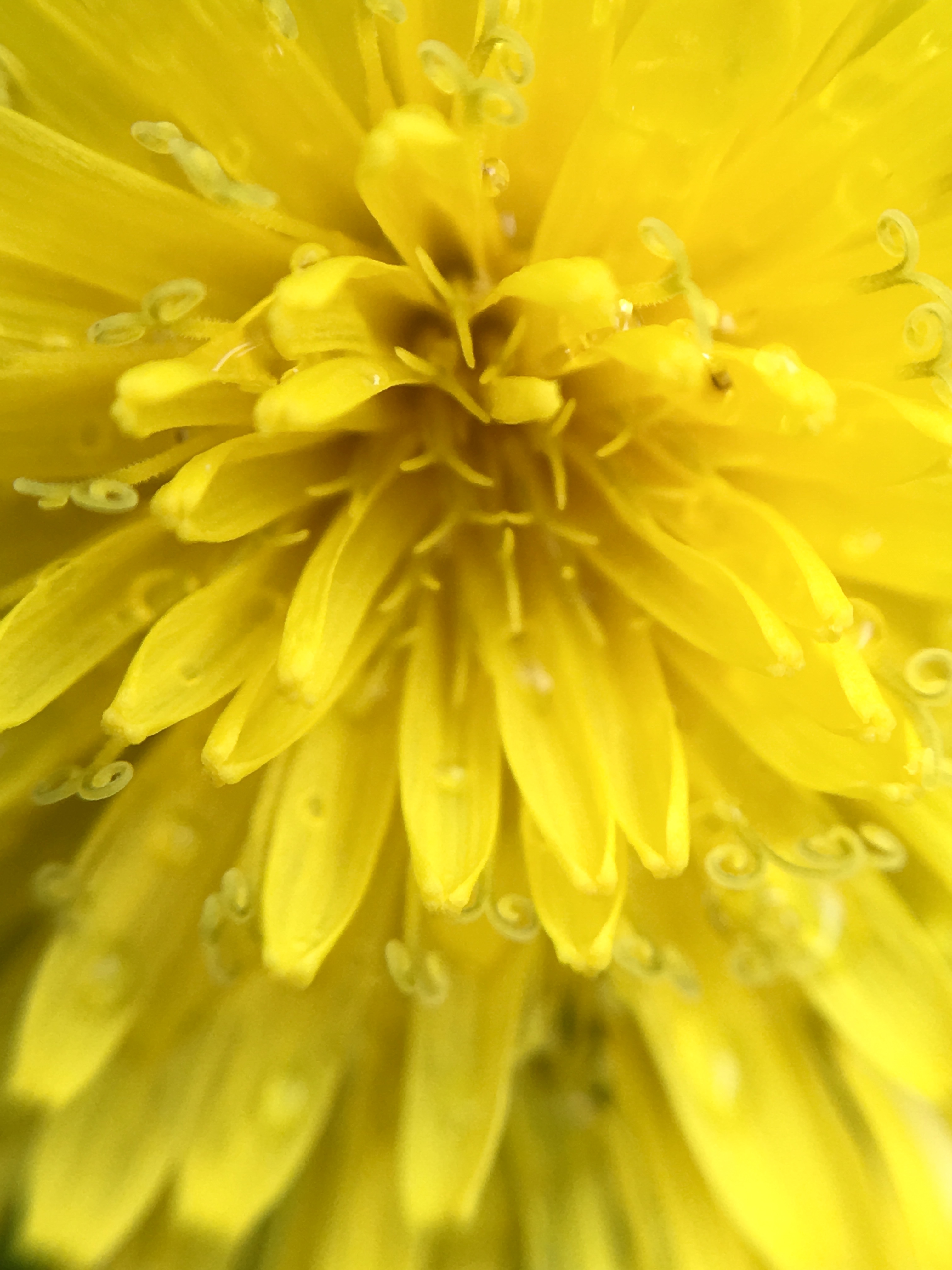 8EF8C788-686C-4EEB-9E56-ED2DEA981B25