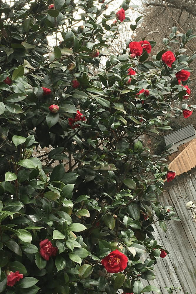 AE842DD5-2F6E-45C3-83ED-2E8A3F125E0C