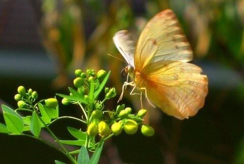 What Dream, This&nbsp;Life..