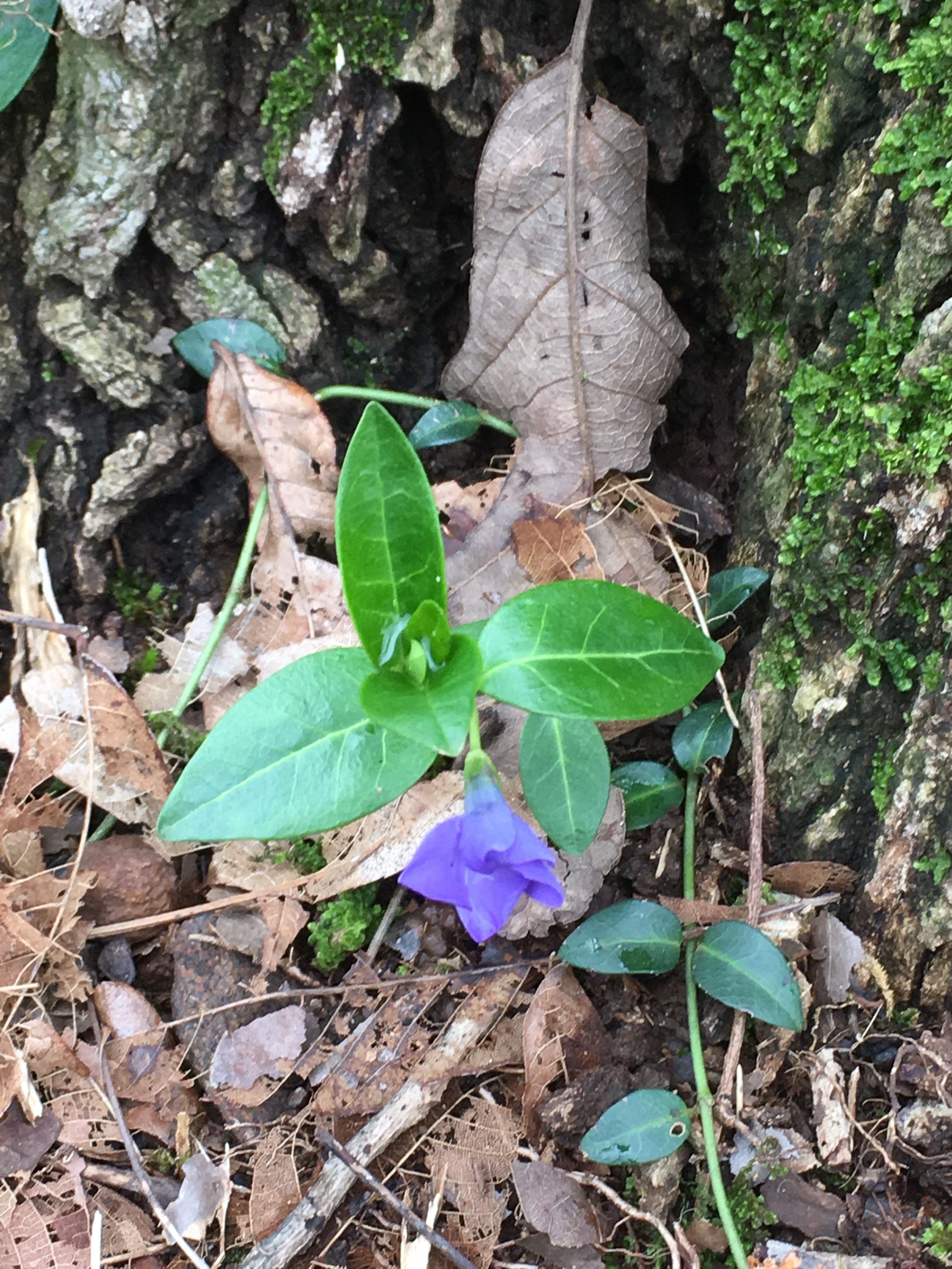 FDB0AD62-7D56-430B-B5B5-7FAE07CD80F9