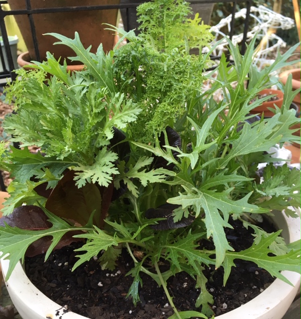 6D34BF76-4D78-4680-B985-6530F0E293DE