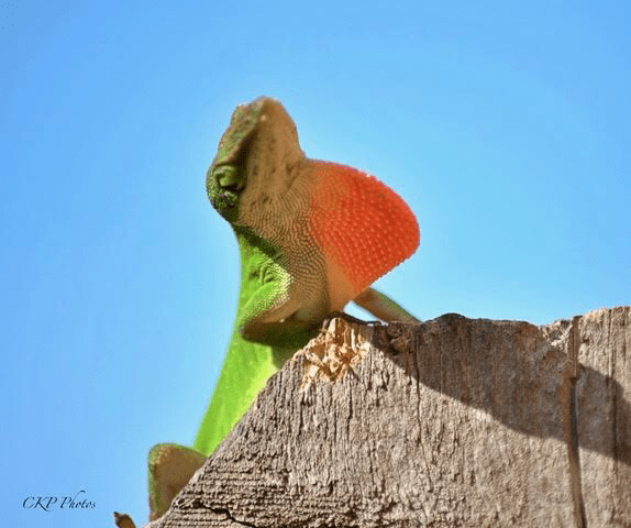 7FED712E-4356-4AA8-AE0C-766227FF4FF8