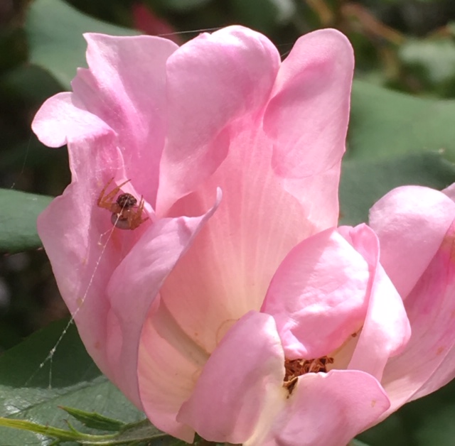 886B0777-DE62-4726-B4D6-76DF5B600F41