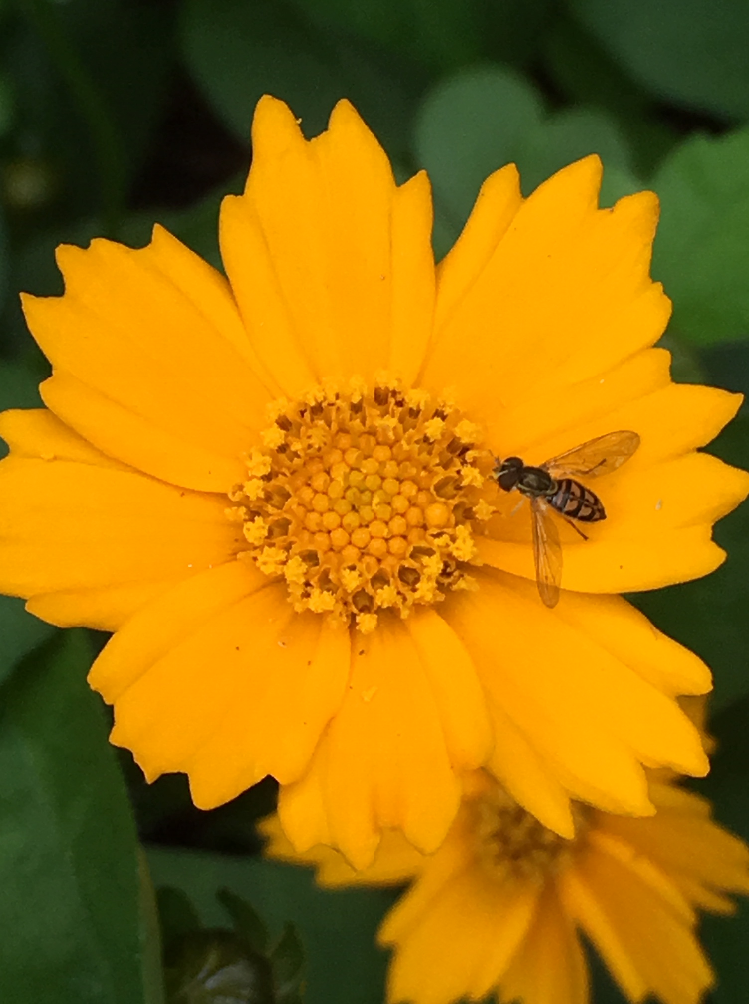 B9A1FF92-AA86-4FF8-AAC1-B5314D90AA4A