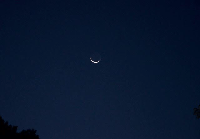 C5DF2329-B002-4E2F-A1A8-F1453266AC62