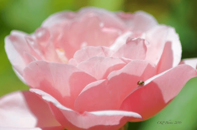 Time and Again/#1LinerWednesday