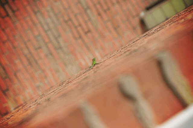 EF2E6332-1B64-41F5-9D5A-8BDDBB5527B7