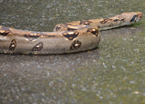 208A2246-EC6D-49E3-BEBE-097042C2B840