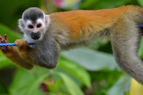 628292C2-CC99-4563-AD9D-23EDC99C3693