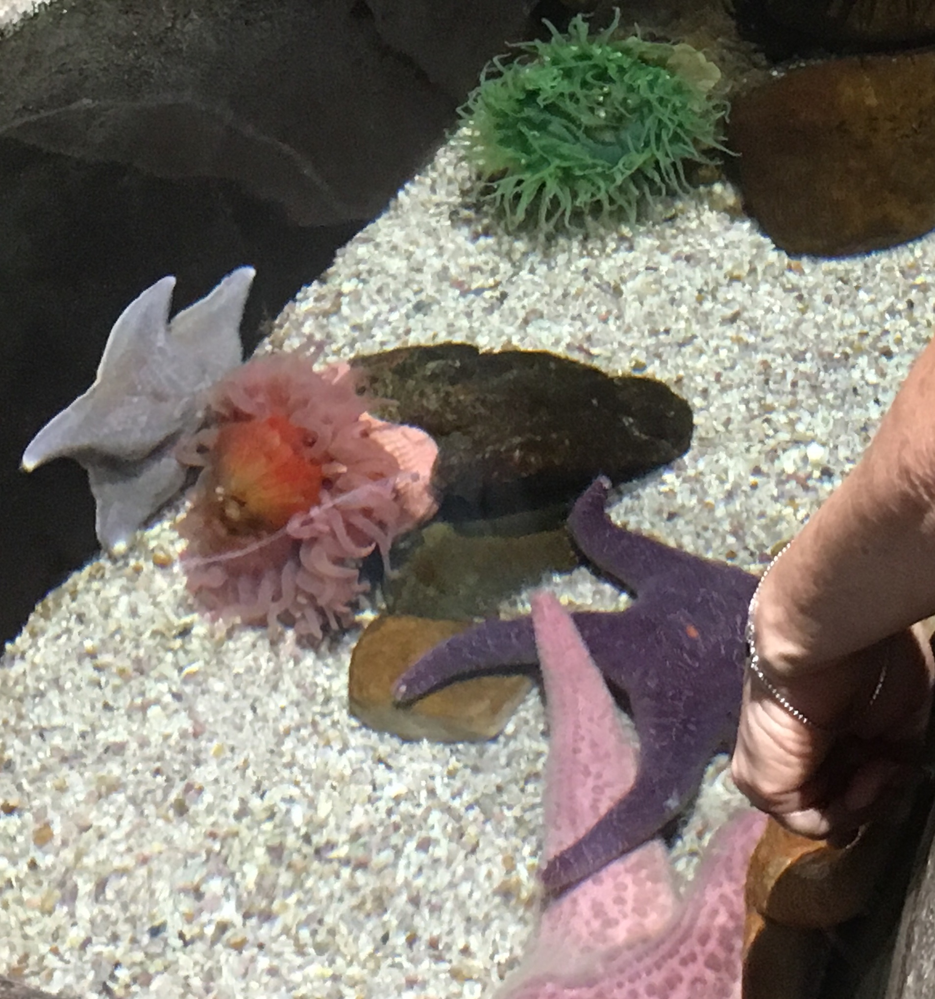 75C266C4-ECFA-4F8C-9025-9DB9259AF6A1