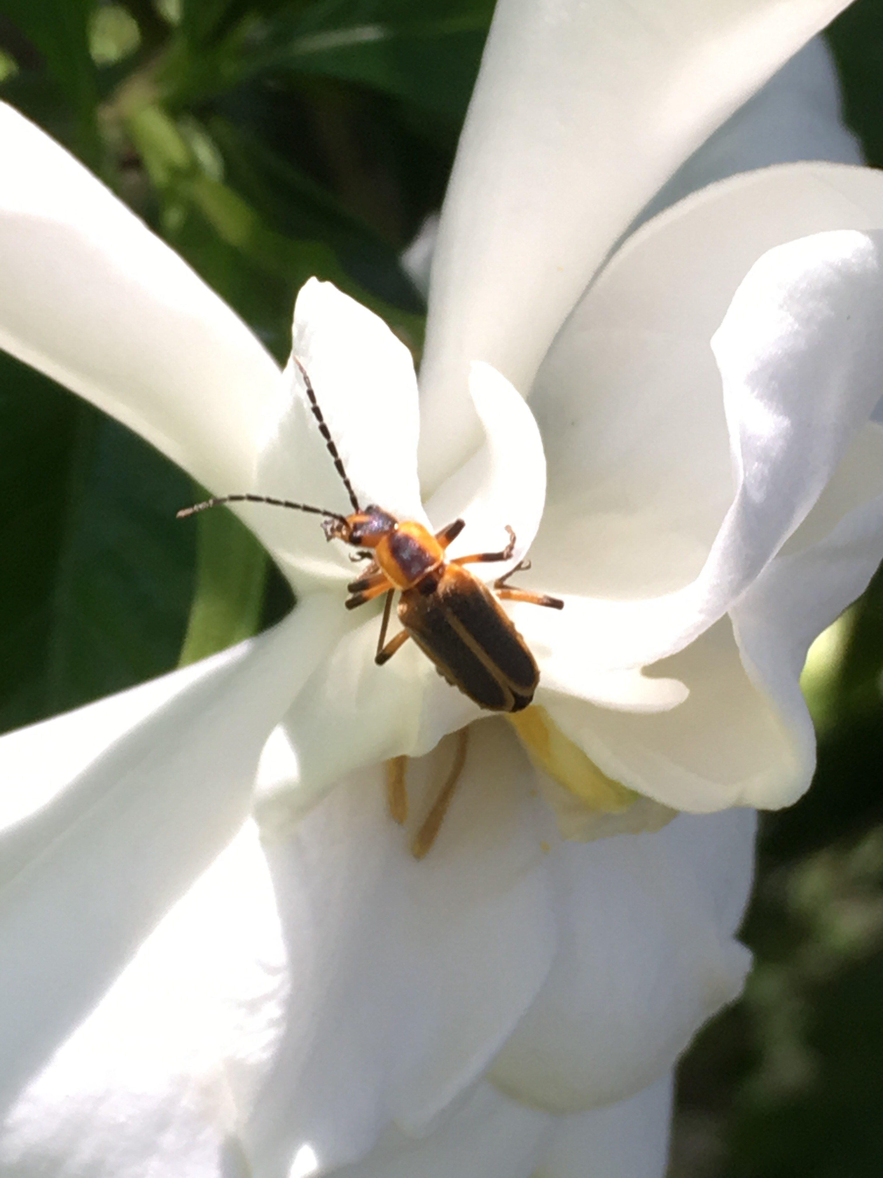 A8DCE69F-2775-488E-A315-6CDA7D8DBD76