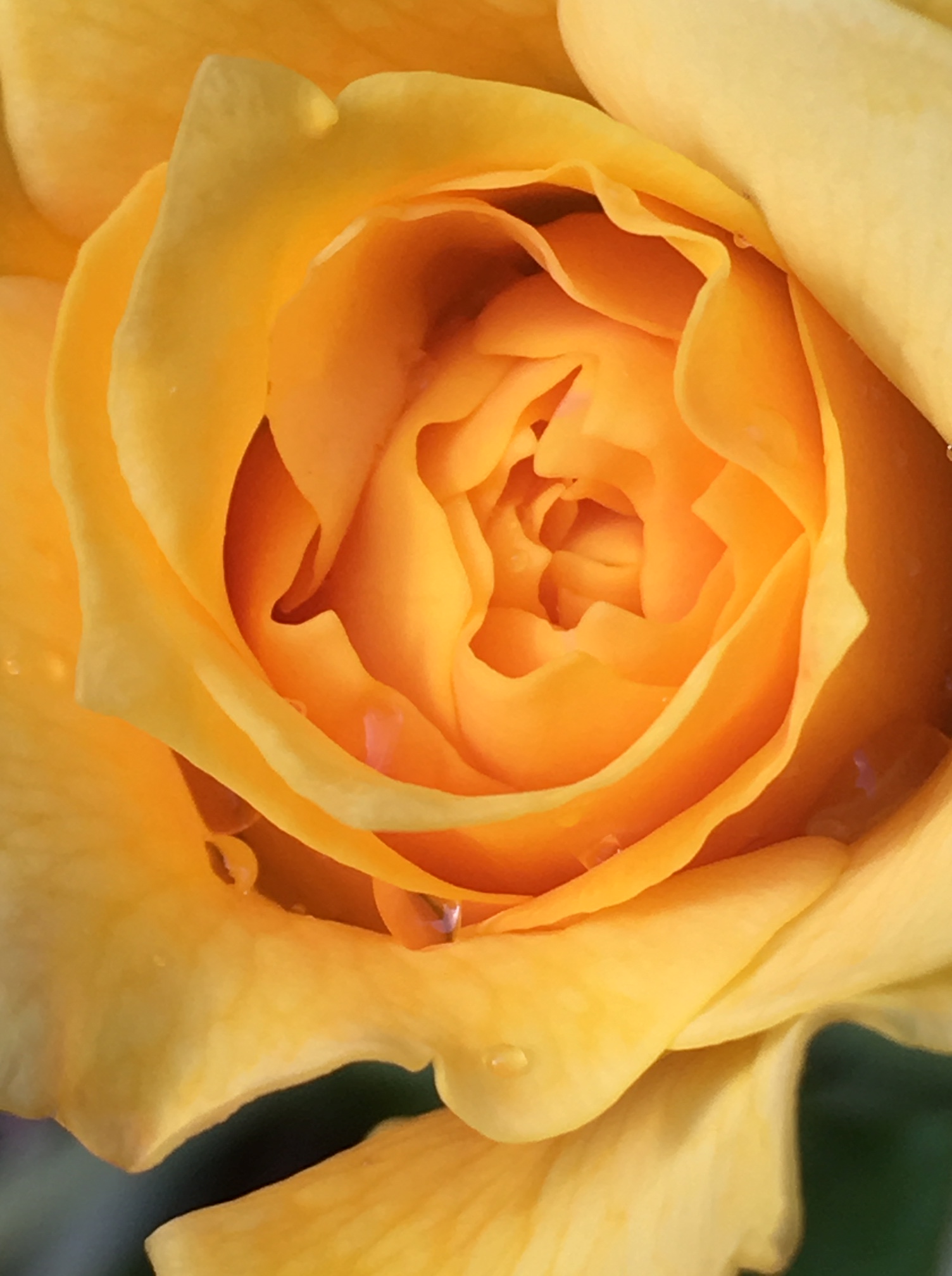 BE7F37E5-A6D3-4824-AF5E-923FC006383E