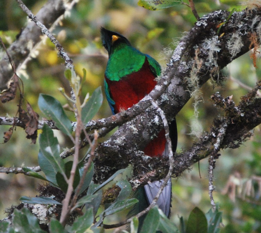 CCFA714A-5253-4F6E-9AED-08E38C6CE18B