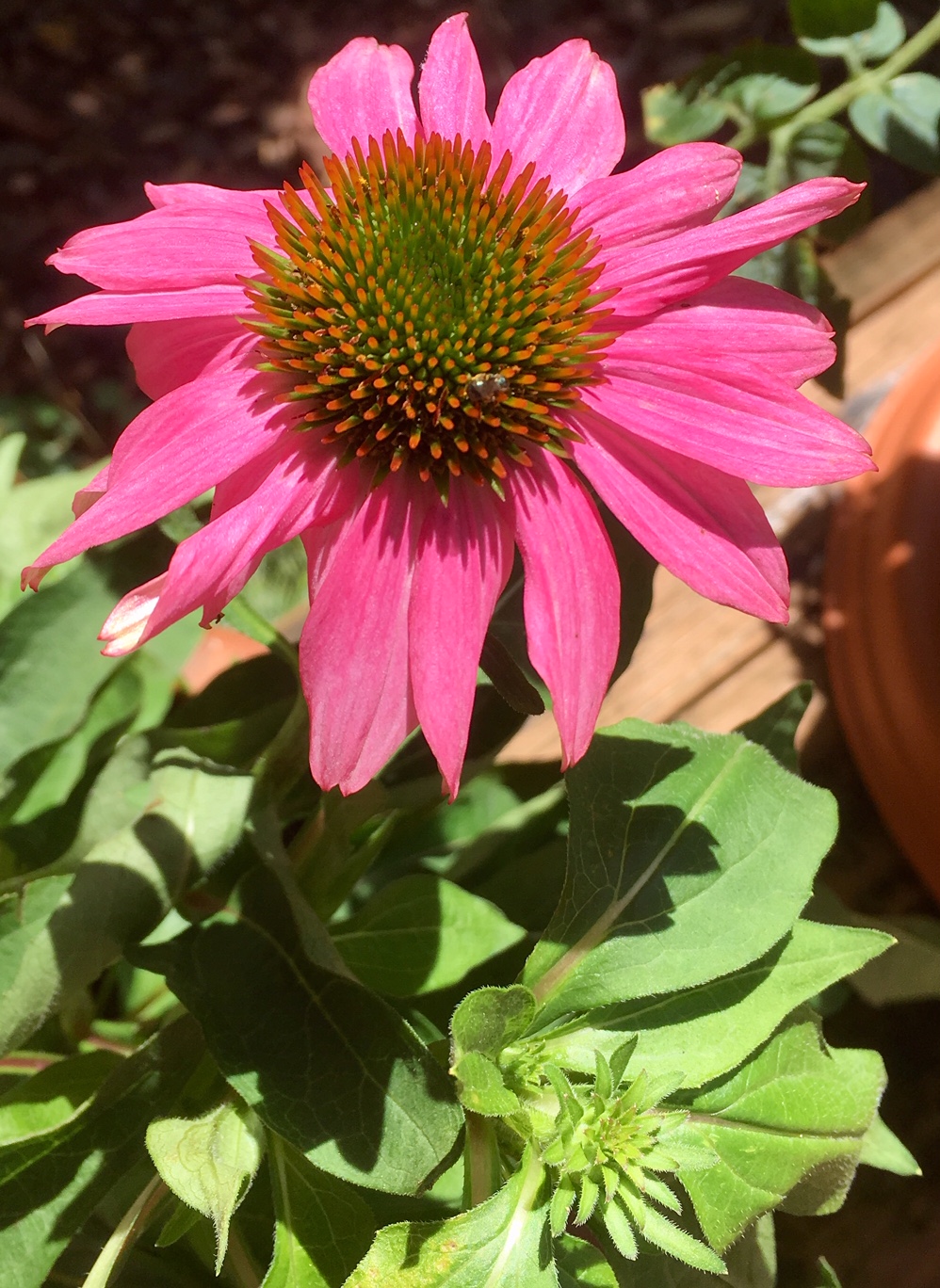 1AAB00A9-F506-46D3-BB88-C6A6D25AEEF5