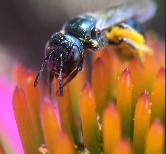 5F89C024-5232-468B-8B26-170B377BDD10