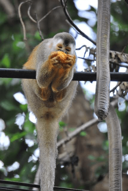 78F71F57-DD5C-4FE1-AD6D-4EF721FBA999