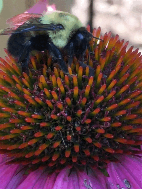 E40B7E84-2B71-499B-AEC2-BE4D20D3F034