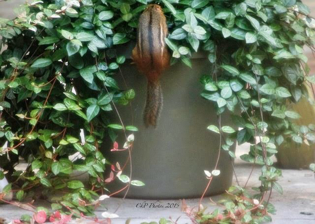 390089ED-23AA-4576-99BE-020703716F0B