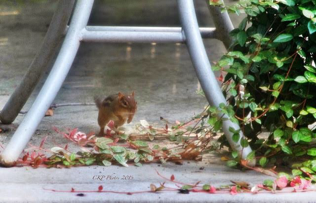 3C74D9EF-46D6-4817-8BF2-0E6E961FA687