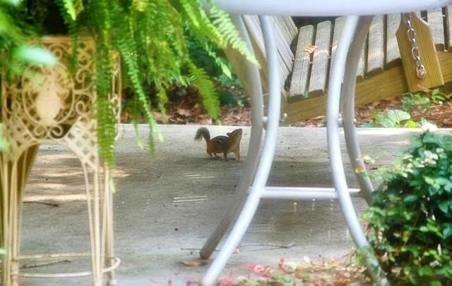 56E5D9B6-A325-477A-8EA0-57028C37493D