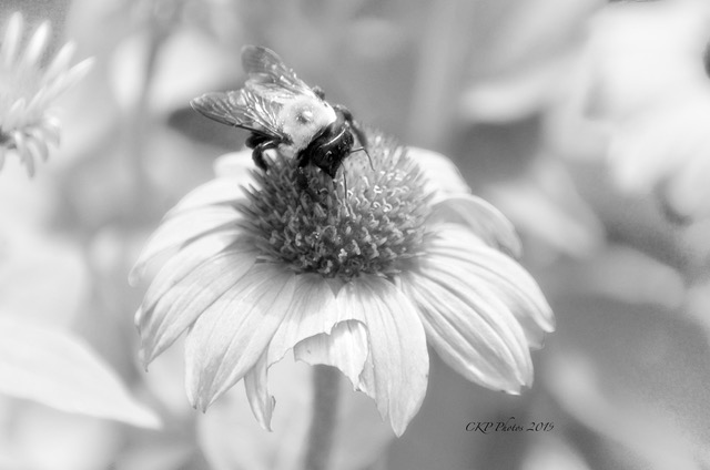 5A01D326-A6EE-4112-8E17-CF3E95100CEF