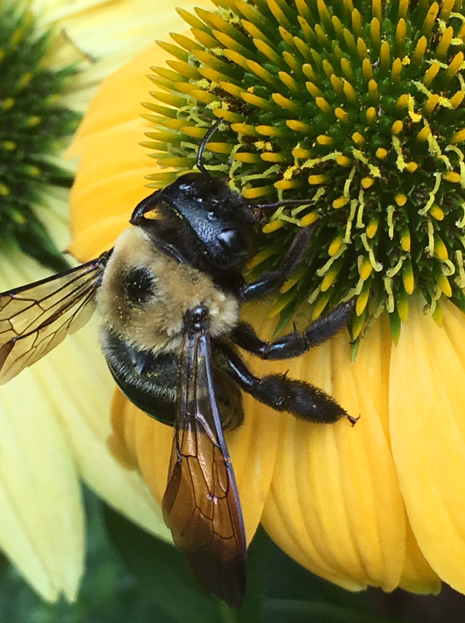 BAA097B3-7458-4546-9E4E-46C4883CC4E9