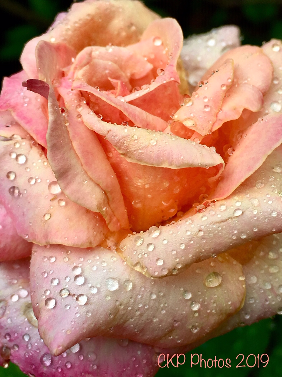 CB792EF6-60D4-4F07-9C04-46FD250C01C8