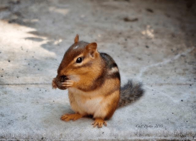 EF0B79C5-874A-4603-89DF-034A1DEDD36F