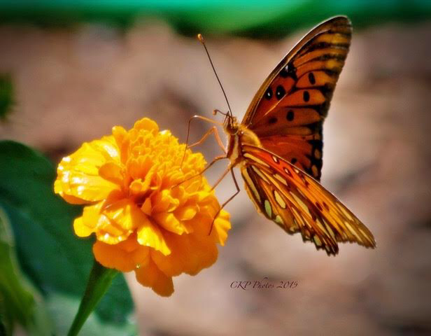 F46ABBE9-6D51-4899-94D8-A8A930F9501A