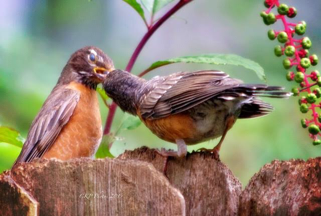 2A651376-3F51-4AE5-AB71-215260BEB2CD