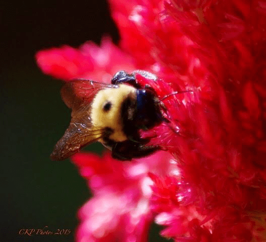 367B2865-D75B-4FDC-A457-608D8452949E