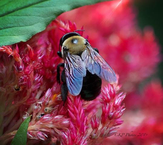 3E080B91-CEBB-4F6B-9EF9-CA4F29AC09BC