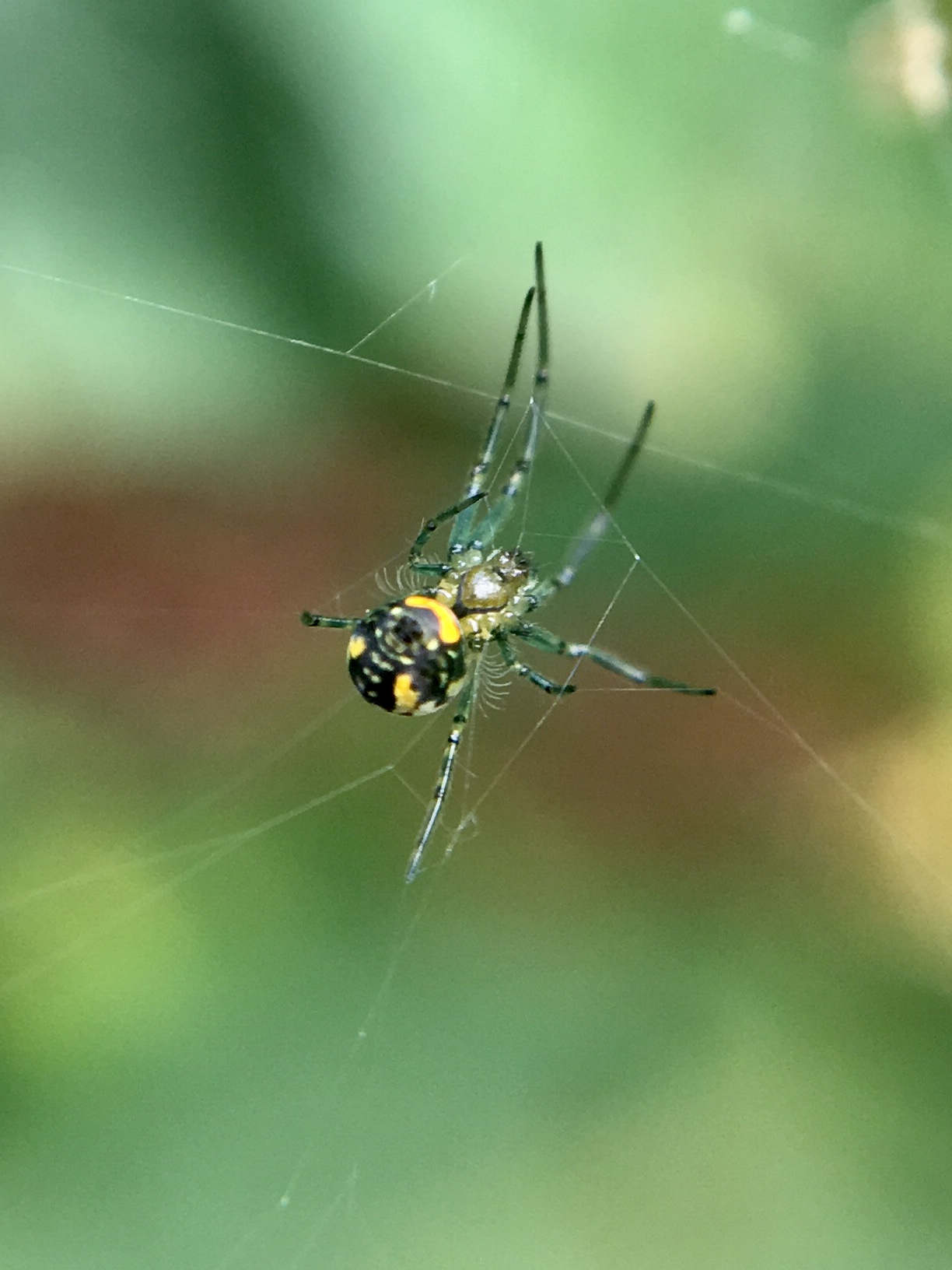 7559F2F3-B9C5-44E1-AF86-B0DF58DA697C