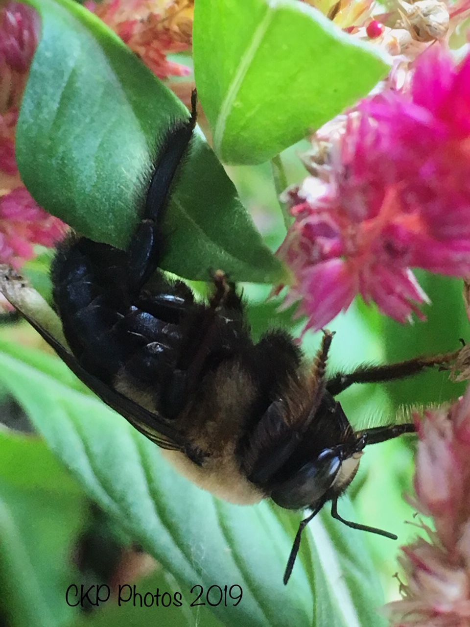 AEEF4FB3-AC8E-4453-B6B7-2BD271CB34A6