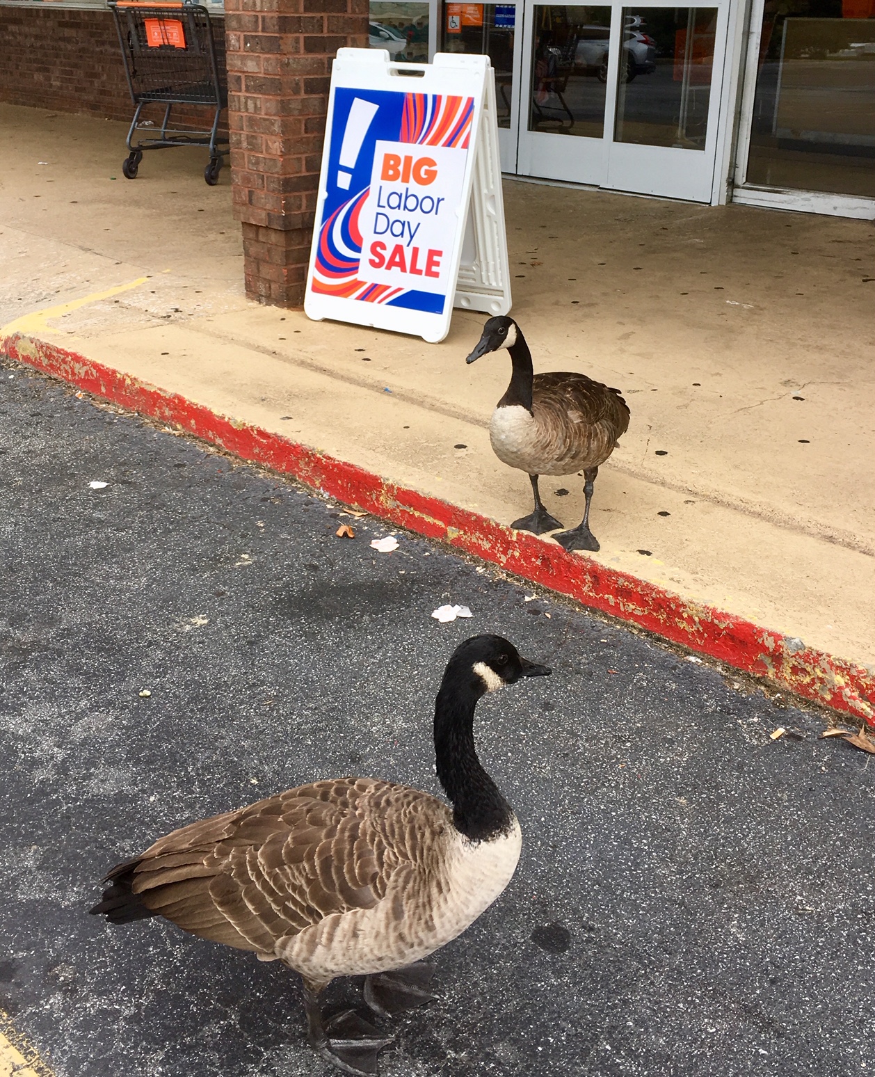 B73C0F3F-02F2-4C5C-BF3D-936DB9F08C60