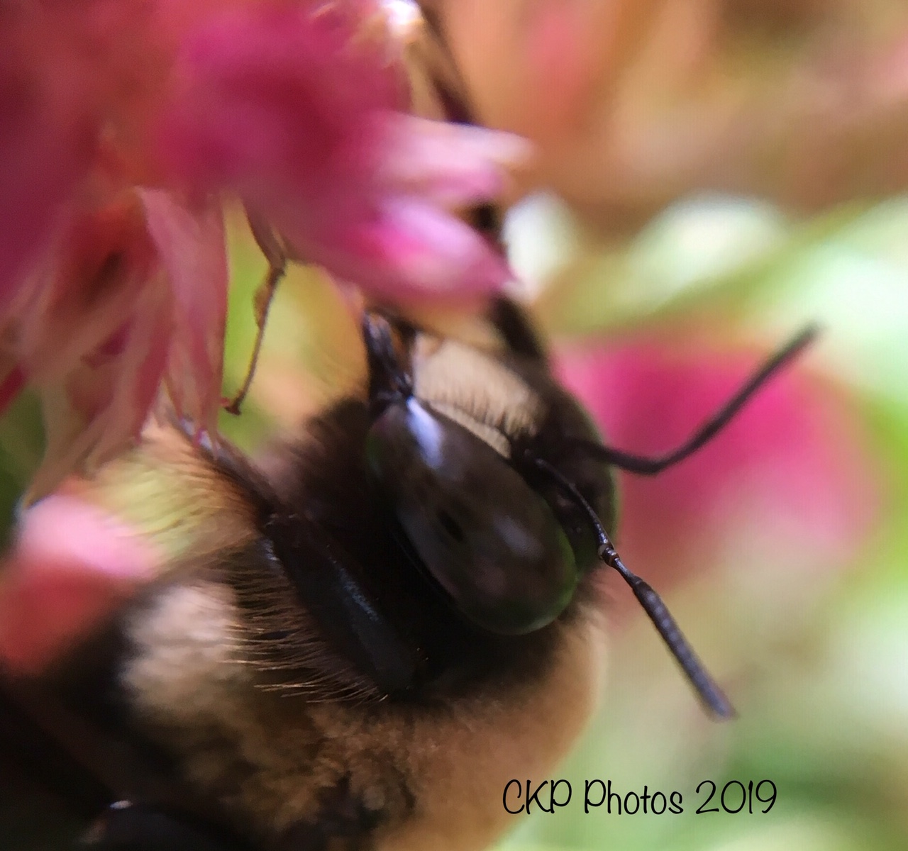 E8658AF2-CFE7-4CD0-9D1A-26D7A5C88CD4