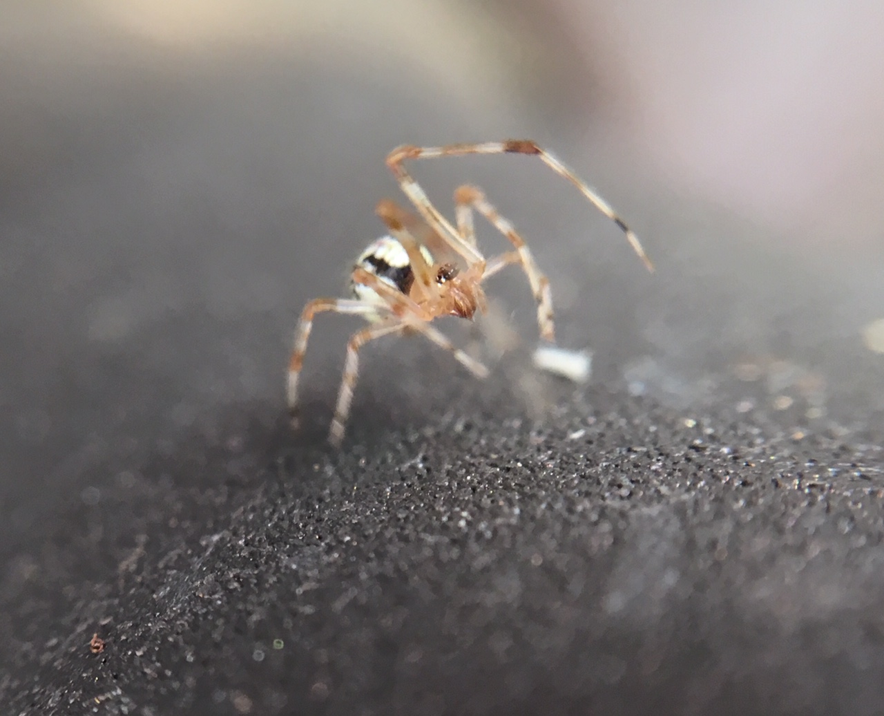 FC4095C2-BDB2-427D-BB48-FB56F21CB383