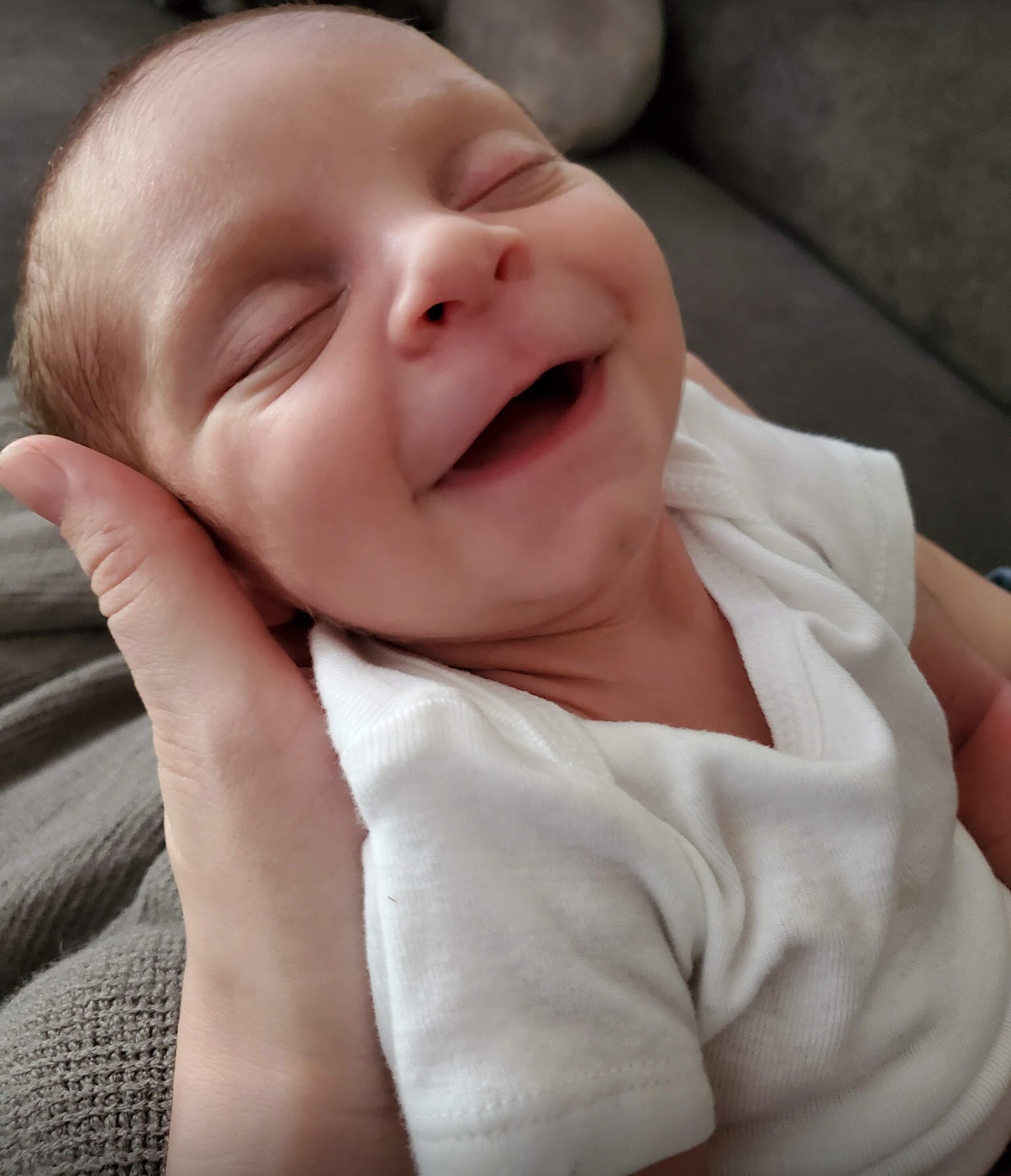 481E65CF-02EF-40F7-B5B4-0D9DBB4C62F2