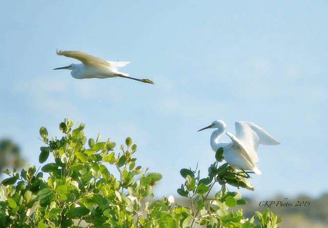 0FC6B91F-35E8-4247-AA31-17A92BA4B433