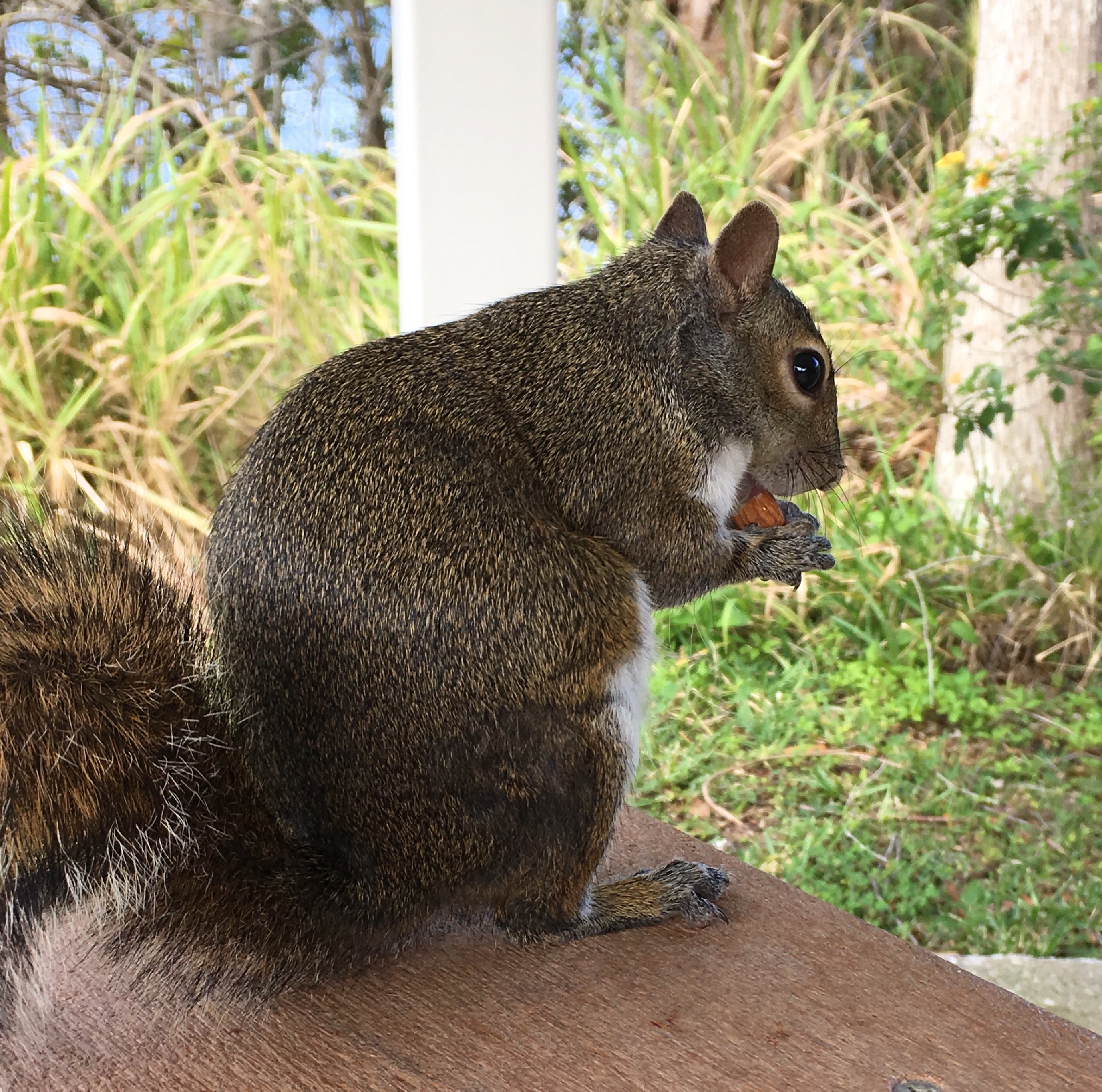 22DBADA7-467D-4612-A75F-0D89B2C27564