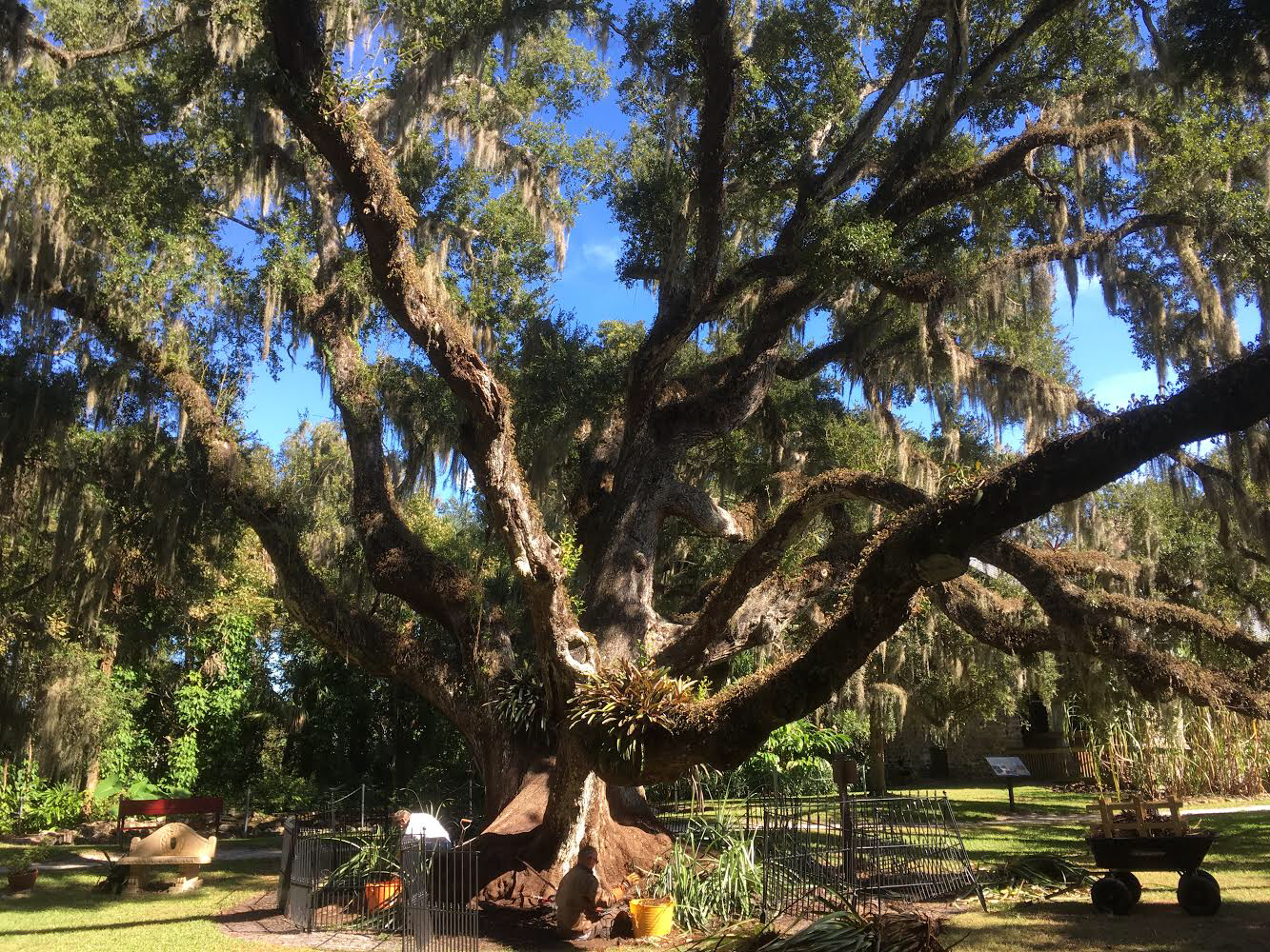 3D2C9156-4172-48B1-BCCC-C5A4E3147DF5