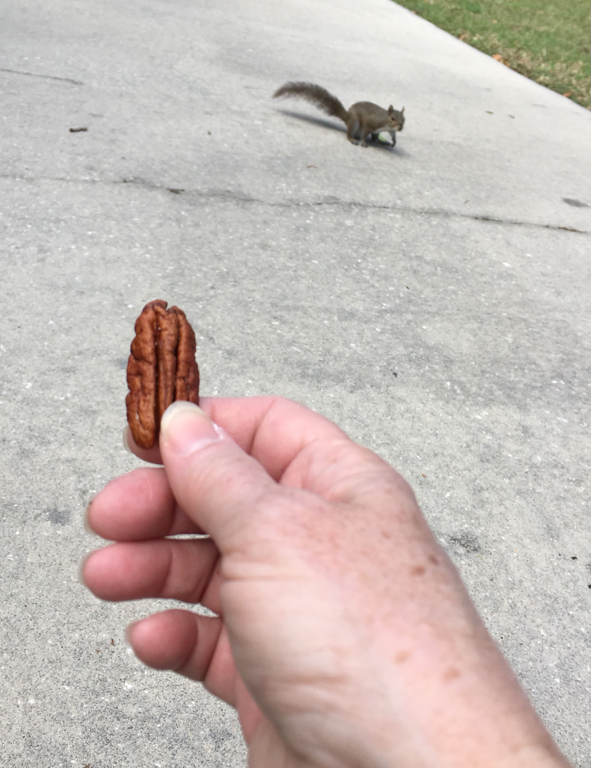 8E650032-1C07-4C99-9214-44ECE5F78E8E