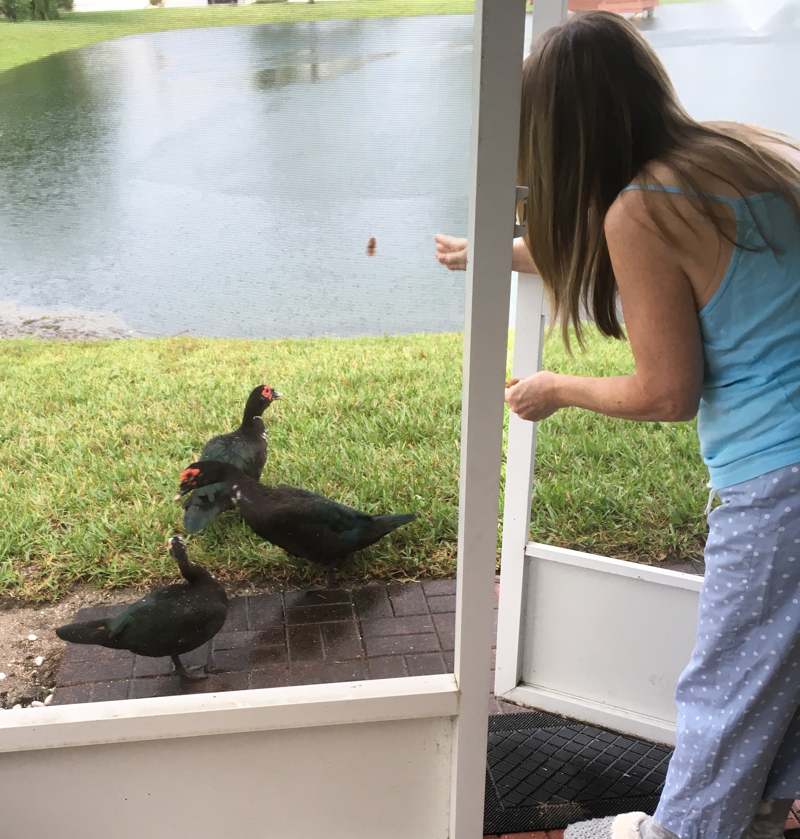 9DCE8F59-059F-46C9-84DC-D1DBB2744E3C