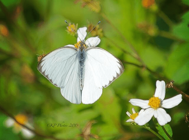 B544D68E-5297-4892-A94B-120CB4DAB829