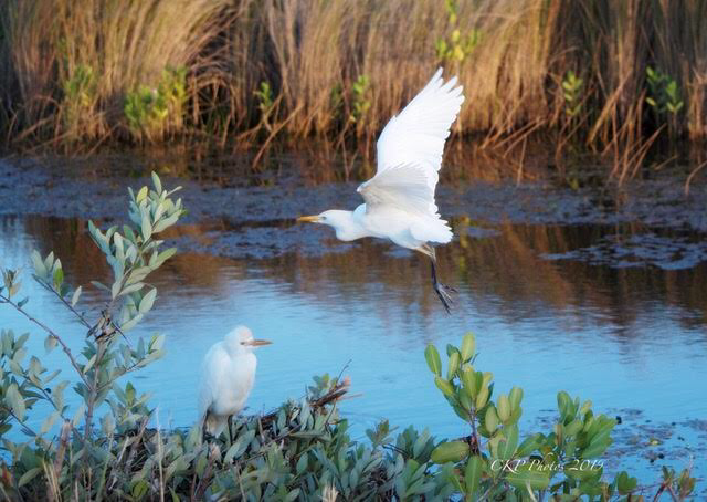 EA9D1051-2343-41CA-9E15-10E287BFCFEC